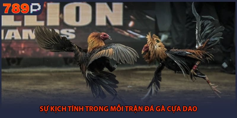 Đá Gà Cựa Dao - Những Bí Mật Đỉnh Cao Từ Đấu Trường 1 Sự kịch tính trong mỗi trận đá gà cựa dao